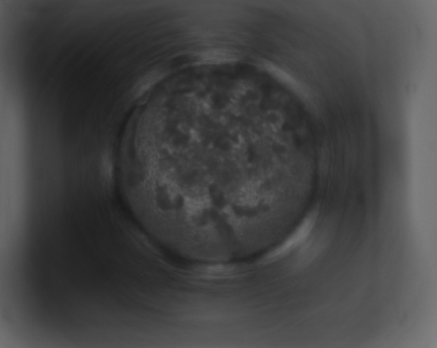 X0000101431401200807071332