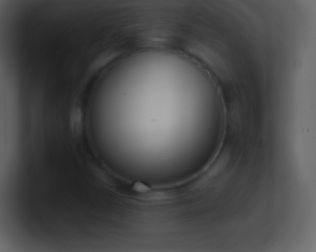 X0000101431402200807071332