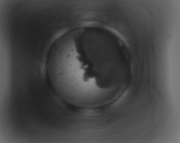 X0000101431405200807071332