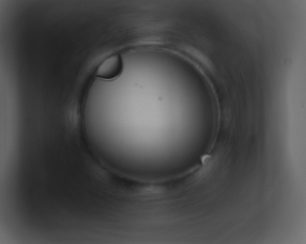 X0000101431406200807071332