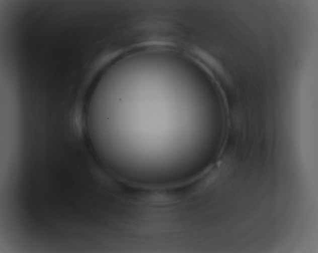 X0000101431408200807071332