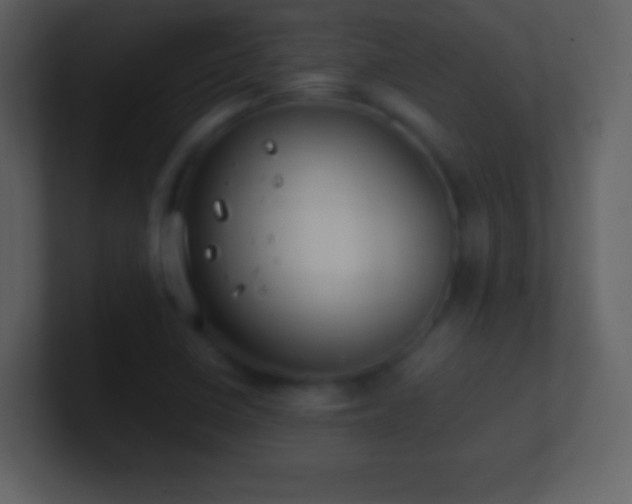 X0000101431410200807071332