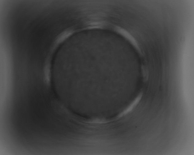 X0000101431411200807071332