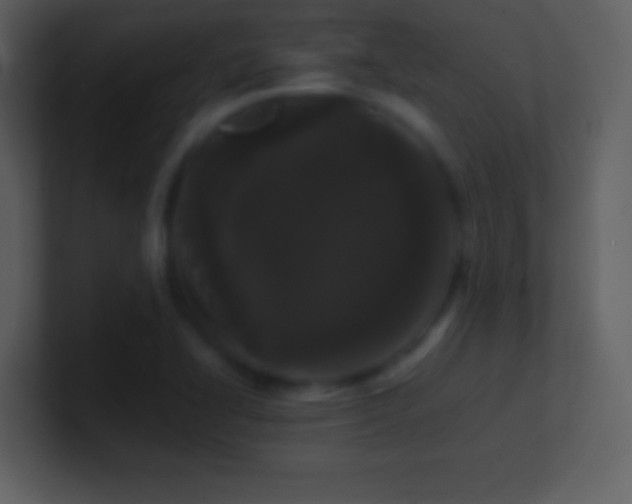 X0000101431414200807071332