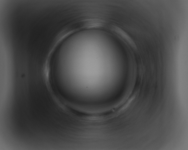 X0000101431418200807071332