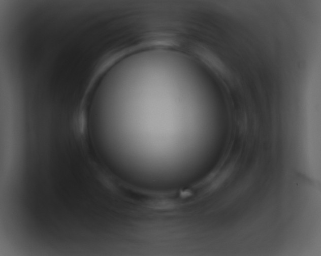 X0000101431420200807071332