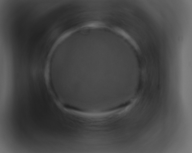 X0000101431421200807071332