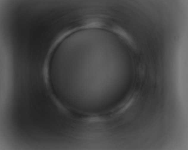 X0000101431422200807071332