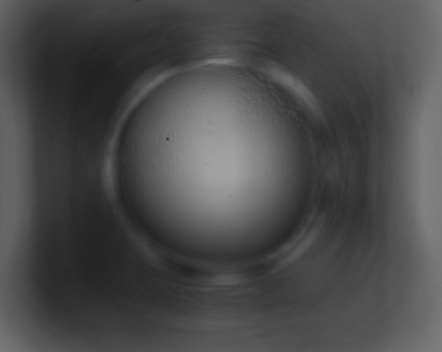 X0000101431423200807071332