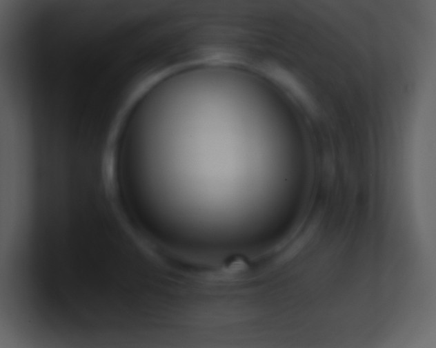 X0000101431424200807071332