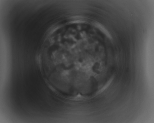 X0000101431425200807071332
