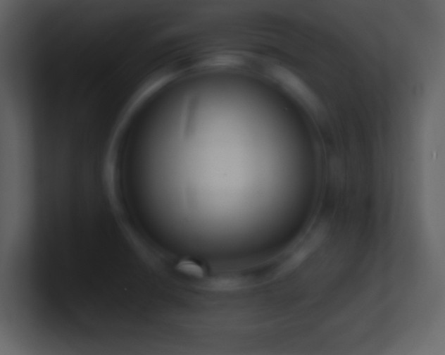 X0000101431426200807071332