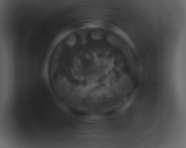 X0000101431427200807071332
