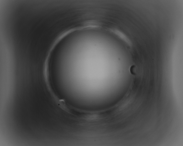 X0000101431431200807071332