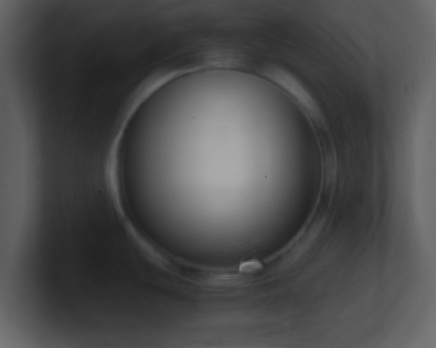 X0000101431439200807071332