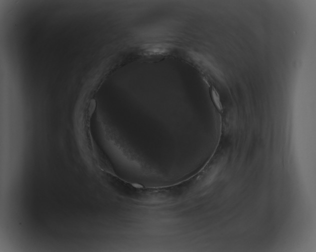X0000101431441200807071332