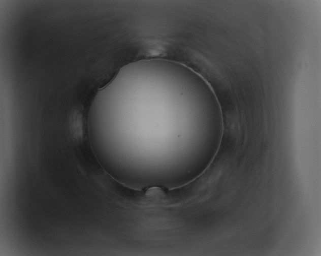 X0000101431442200807071332