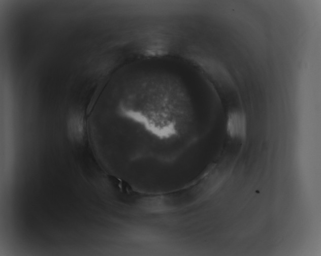 X0000101431444200807071332