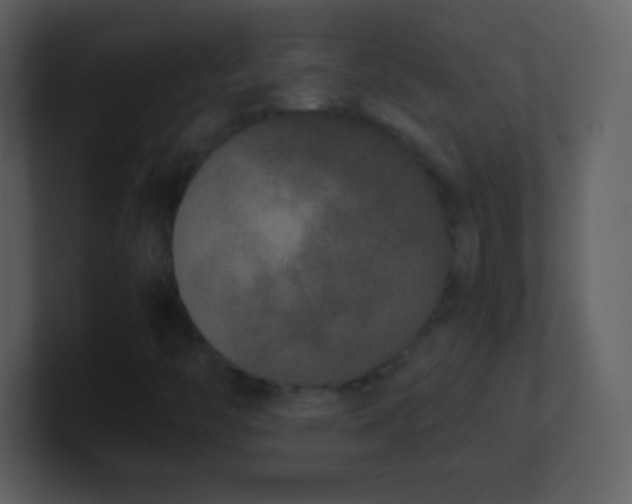 X0000101431446200807071332