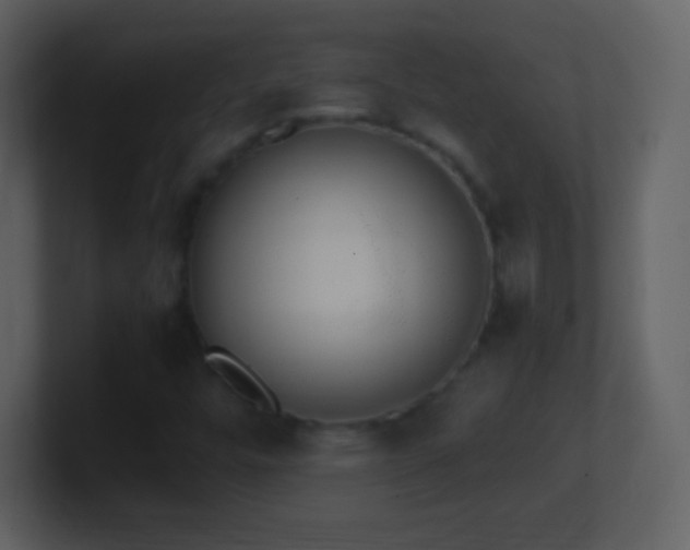 X0000101431448200807071332
