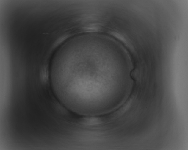 X0000101431450200807071332