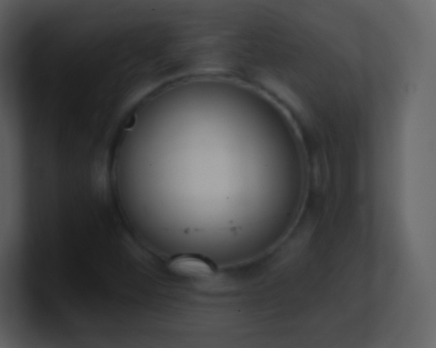 X0000101431452200807071332