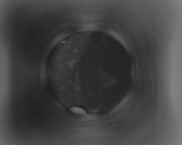 X0000101431453200807071332