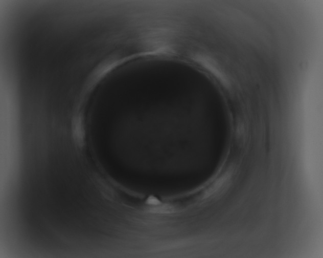 X0000101431455200807071332