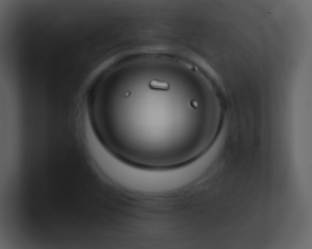 X0000101431456200807071332