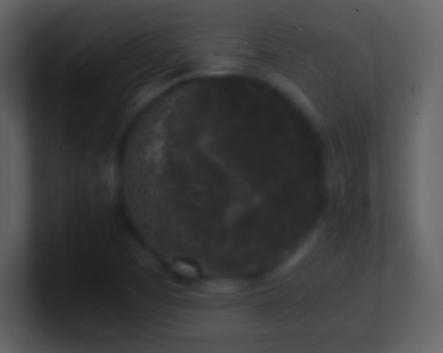 X0000101431457200807071332