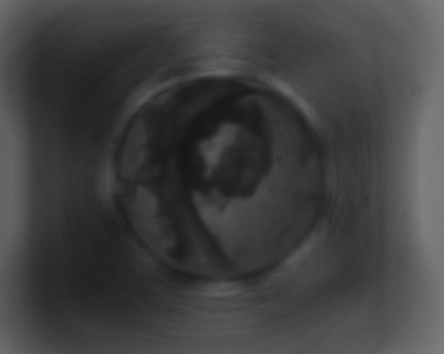 X0000101431459200807071332