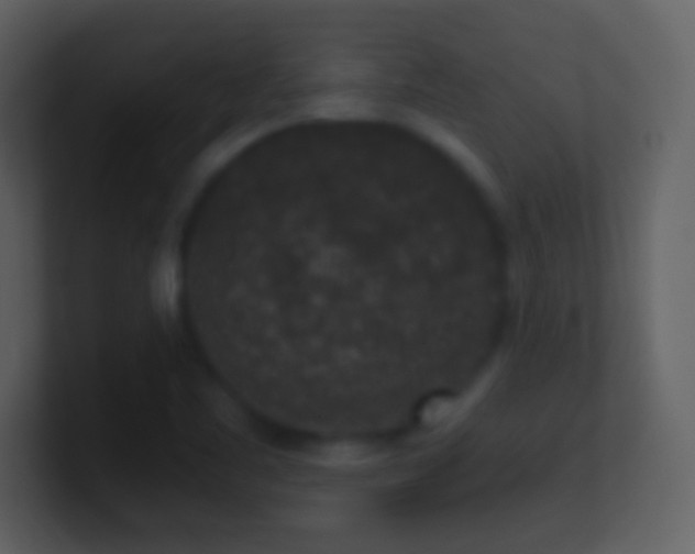 X0000101431461200807071331