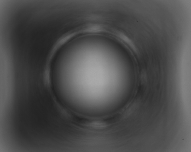 X0000101431464200807071331