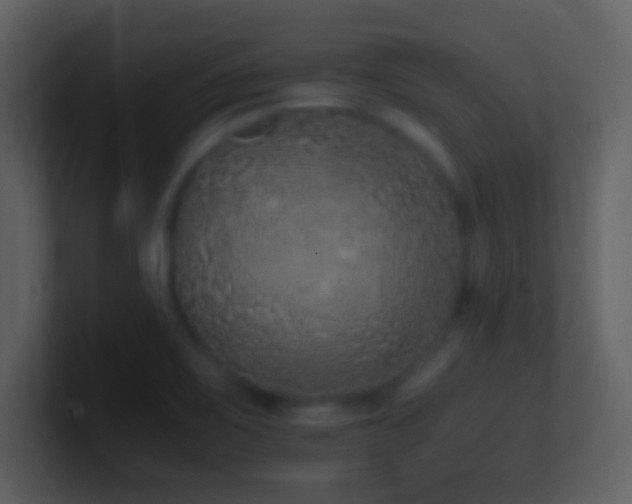 X0000101431467200807071331