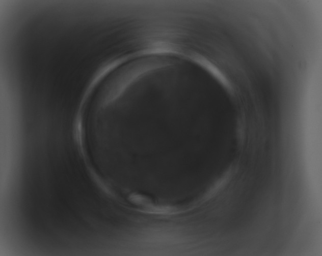 X0000101431468200807071331