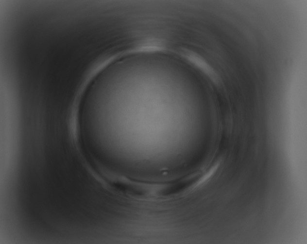 X0000101431469200807071331
