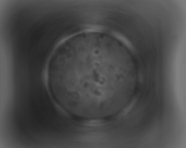 X0000101431471200807071331