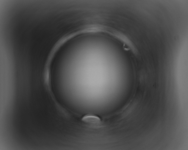 X0000101431472200807071331