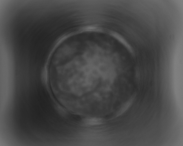 X0000101431474200807071331