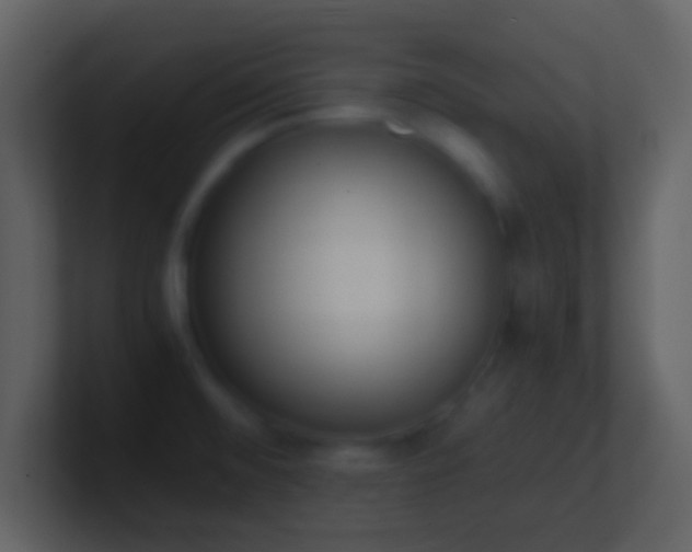 X0000101431476200807071331