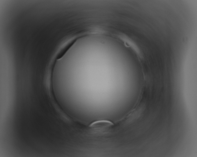 X0000101431477200807071331