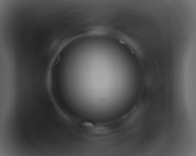 X0000101431479200807071331