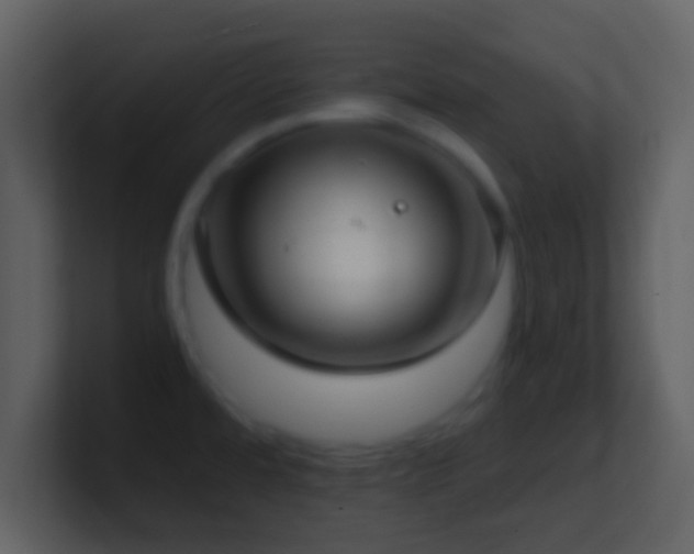 X0000101431480200807071331