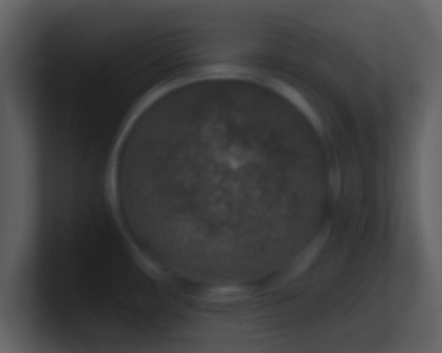 X0000101431482200807071331