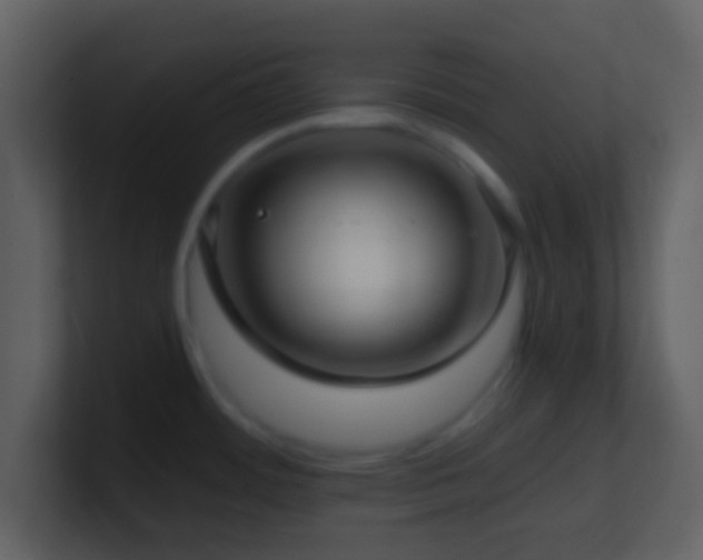 X0000101431484200807071331