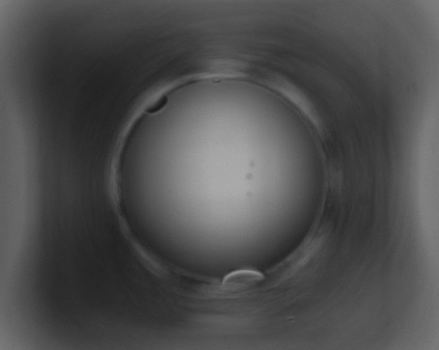 X0000101431485200807071331