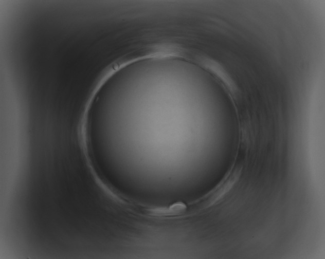 X0000101431487200807071331