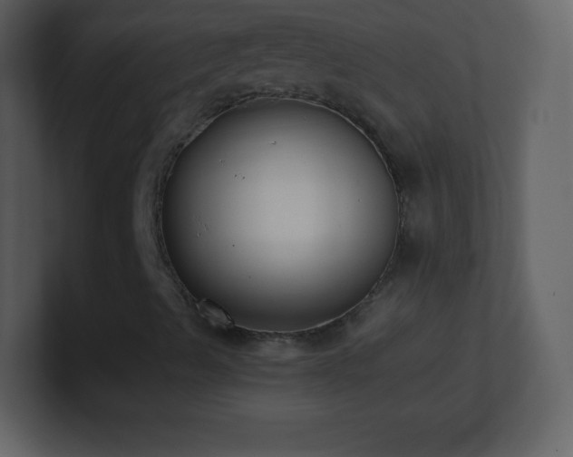 X0000101431489200807071331