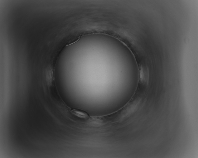 X0000101431492200807071331