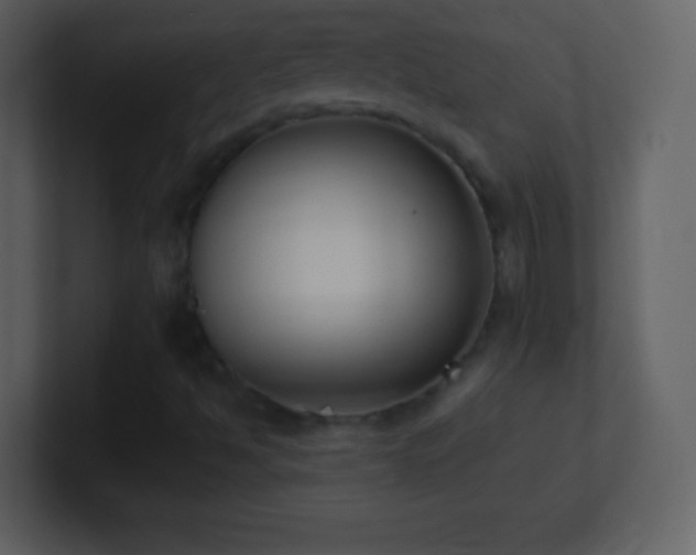 X0000101431494200807071331